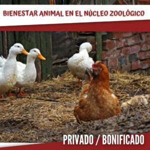 BIENESTAR ANIMAL EN EL NÚCLEO ZOOLÓGICO. GANADO