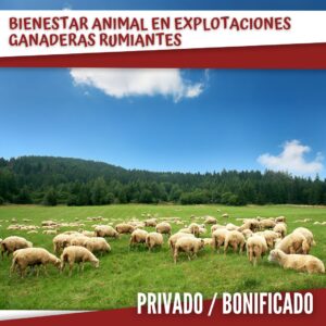 BIENESTAR ANIMAL EN EXPLOTACIONES GANADERAS RUMIANTES