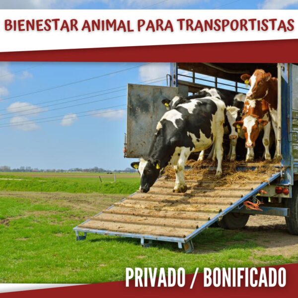 Bienestar Animal para Transportistas