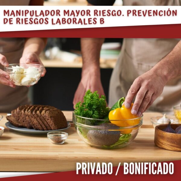 Manipulador Mayor Riesgo. Prevención de Riesgos Laborales B