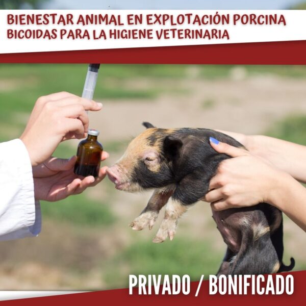 Veterinario y Porcino