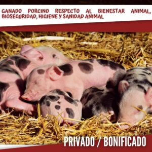 PORCINO, BIOSEGURIDAD, HIGIENE Y SANIDAD ANIMAL