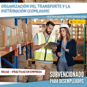 Organización del transporte y la distribución